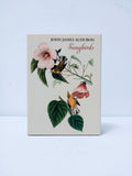 John James Audubon Songbirds