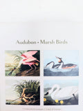 Audubon Notecard Wallet