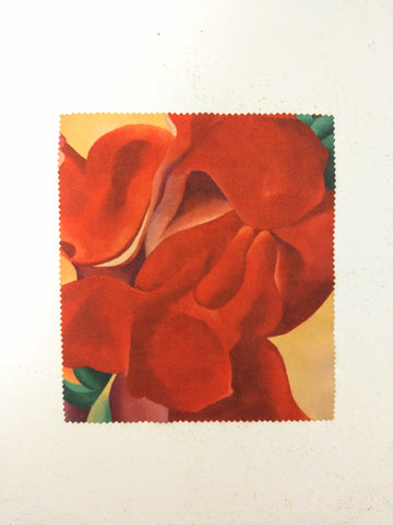 Microfiber Cloth