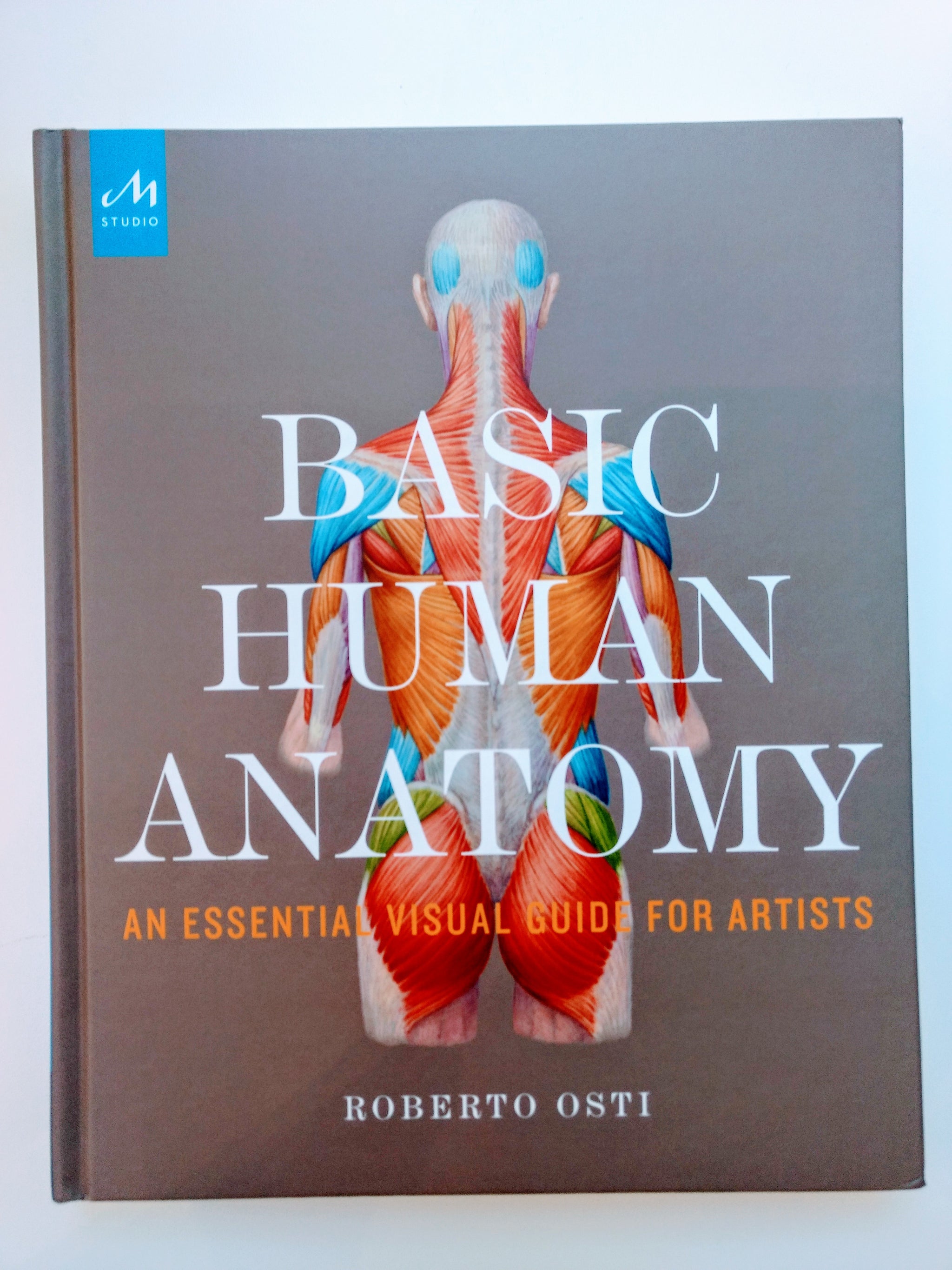 Basic Human Anatomy – Pennsylvania Academy of the Fine Arts, image size:2048x2731
