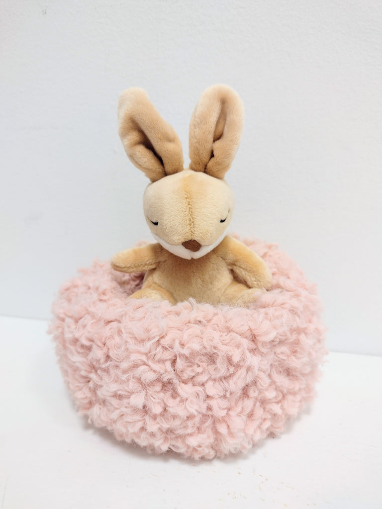 Hibernating Rabbit