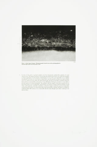 Glenn Ligon, " Untitled 1 "